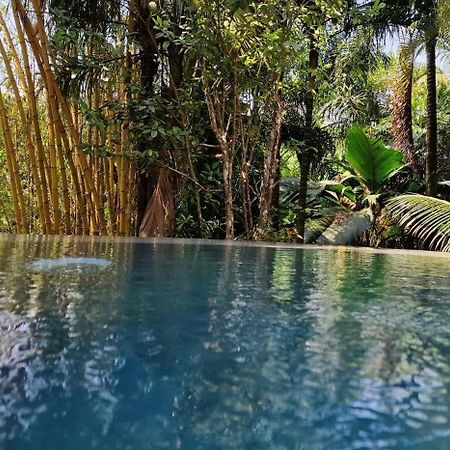 A Peace In Paradise Ансе-Рояль Екстер'єр фото